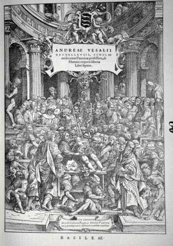 andreas-vesalius de humani corporis andreas-vesalius de humani corporis