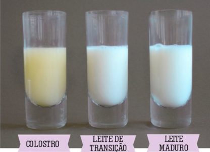 colostro – leite materno colostro - leite materno