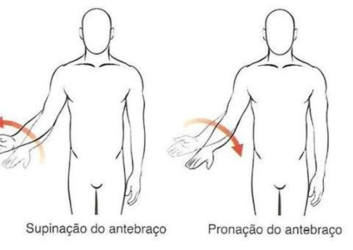 pronação e supinação pronação e supinação